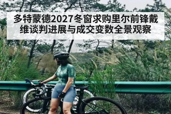 多特蒙德2027冬窗求购里尔前锋戴维谈判进展与成交变数全景观察